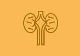 Nephrology