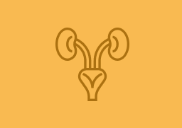 Urology