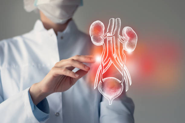 Kidney Stones: Causes, Symptoms and Advanced Treatment Options